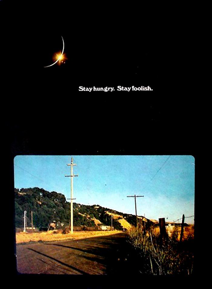 Bìa sau Whole Earth Catalog với dòng chữ Stay hungry. Stay foolish.